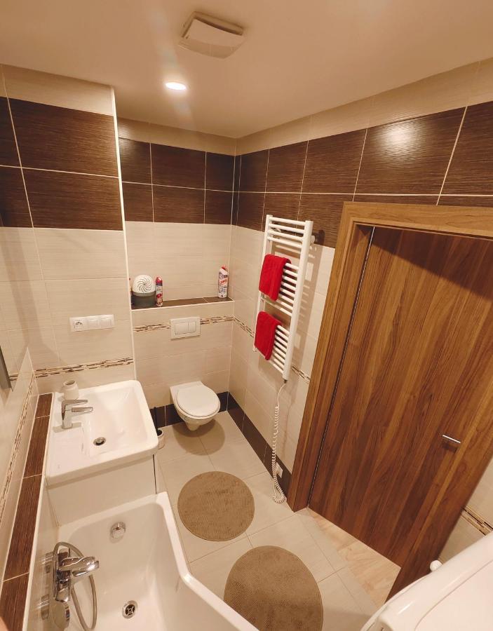 Apartman V Centru Κάρλοβι Βάρι Εξωτερικό φωτογραφία
